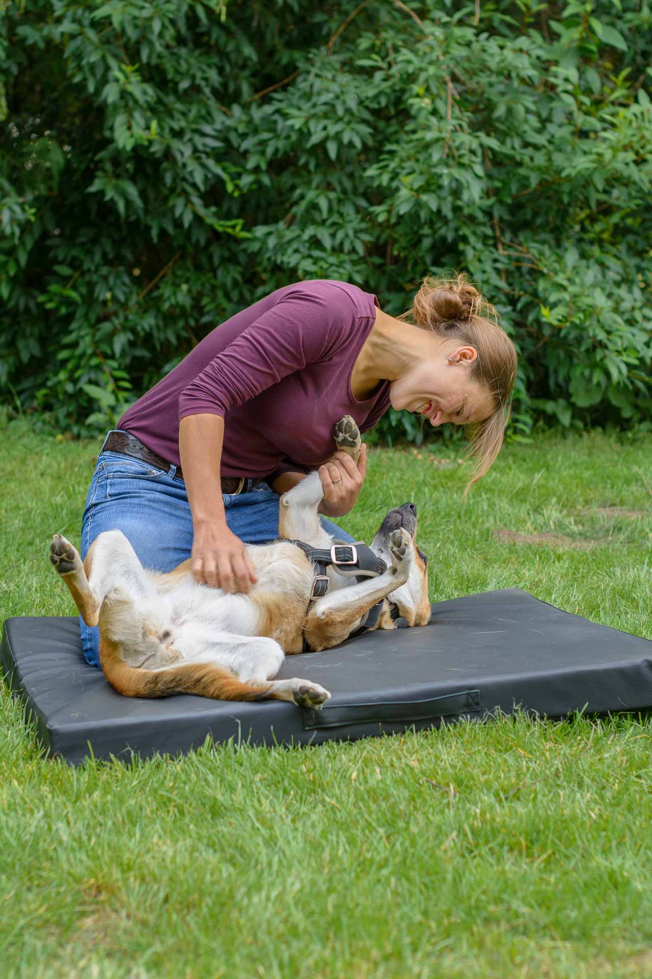 Jacqueline Hunderlage (zukünftig Lund), Tierärztin - Mobile tierärztliche Chiropraxis für Plön und Umgebung